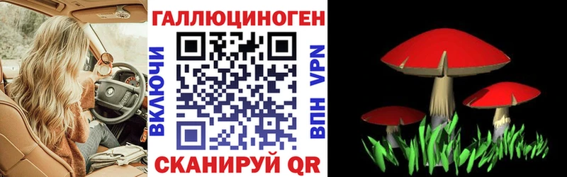 Купить где  Петров Вал  Псилоцибиновые грибы Magic Shrooms 
